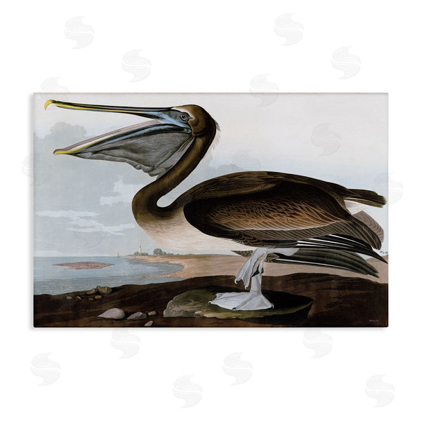 stupell industries Stellar Design Studio | Classic Pelican at Beach Wall Art