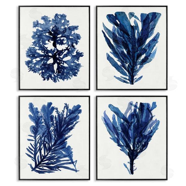 Stupell Industries Stellar Design Studio | Indigo Blue Ocean Plants Coastal Kelp Wall Art