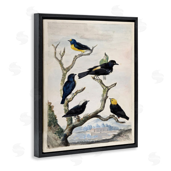 Stupell Industries Stellar Design Studio | Perched Birds On Branches