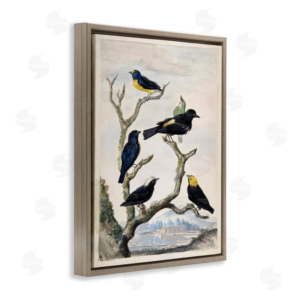 Stupell Industries Stellar Design Studio | Perched Birds On Branches