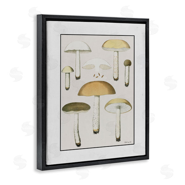 Stupell Industries Stellar Design Studio | Various Mushrooms Forest Plant Wall Art