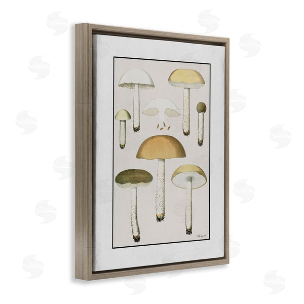 Stupell Industries Stellar Design Studio | Various Mushrooms Forest Plant Wall Art