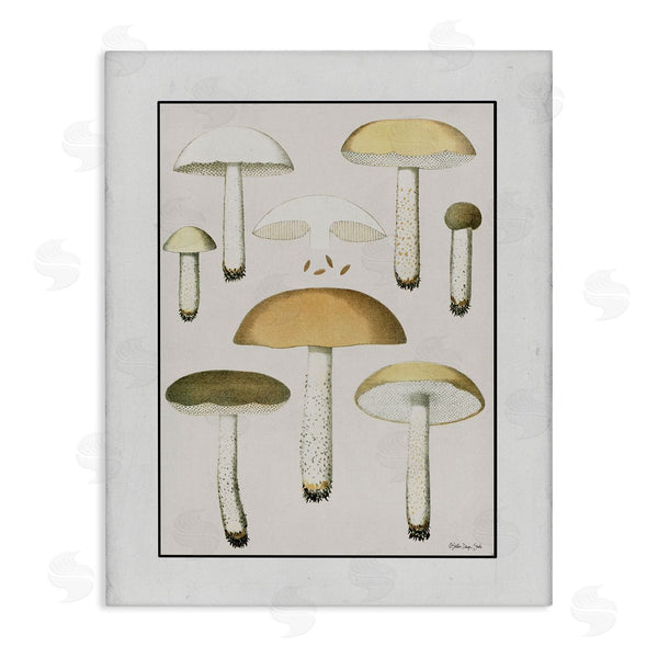 stupell industries Stellar Design Studio | Various Mushrooms Forest Plant Wall Art