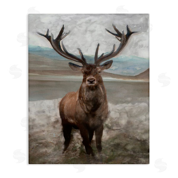 stupell industries Stellar Studio | Moose Encounter Landscape