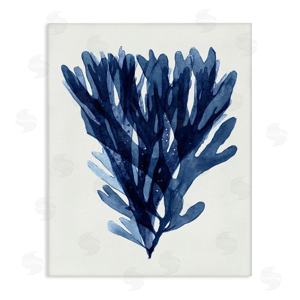 stupell industries Stellar Studio | Nautical Blue Sea Kelp