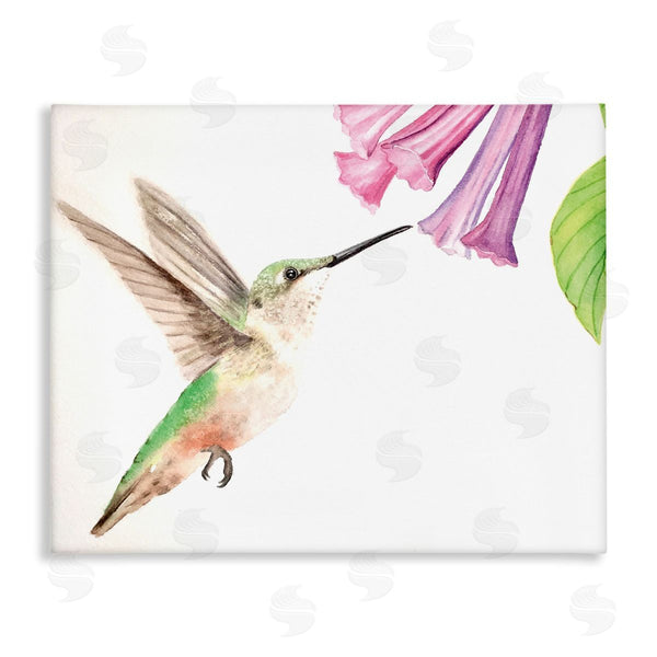 stupell industries Stephanie Fielden | Hummingbird & Bluebell Flower