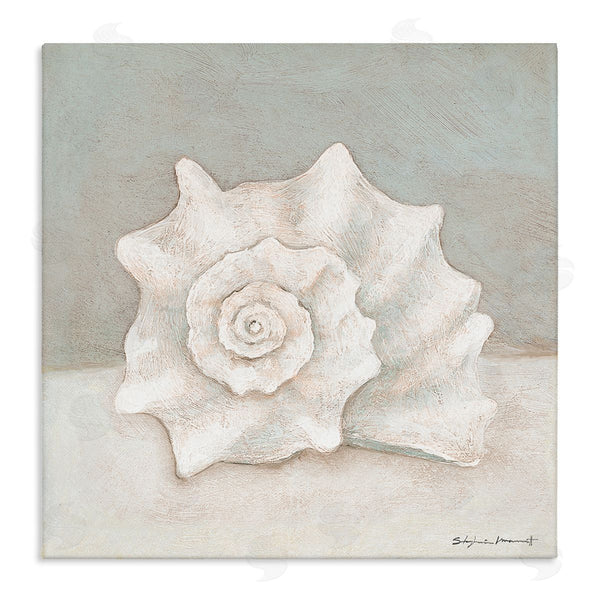 stupell industries Stephanie Workman Marrott | Conch Shell Minimal Beige Grey Seashell Nautical Animal Wall Art
