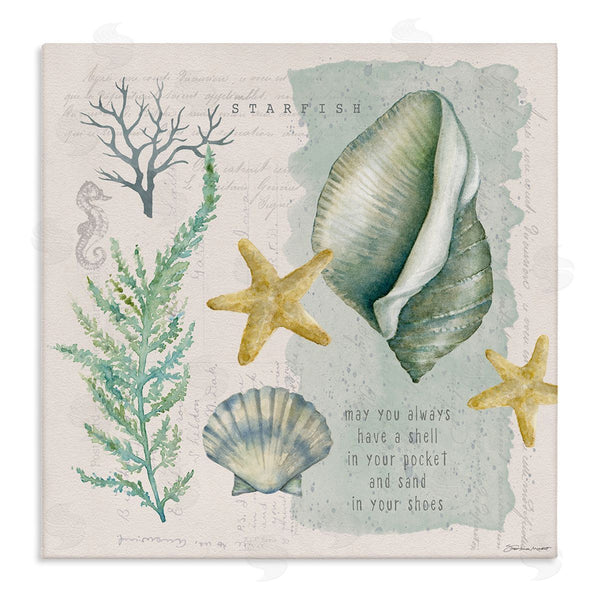 stupell industries Stephanie Workman Marrott | Shell in Pocket Sand In Shoes Beach Quote Wall Art
