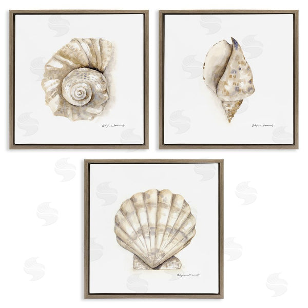 Stupell Industries Stephanie Workman Marrott | Soft White Patterned Seashells Nautical Wall Art