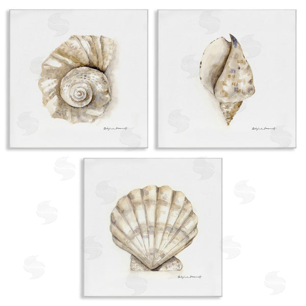 stupell industries Stephanie Workman Marrott | Soft White Patterned Seashells Nautical Wall Art