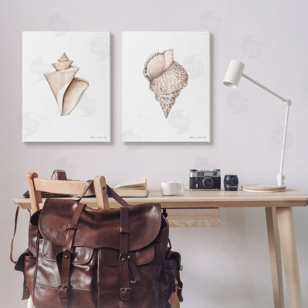 Stupell Industries Stephanie Workman Marrott | Tranquil Spiral Sea Shells Soft Marine Life Wall Art