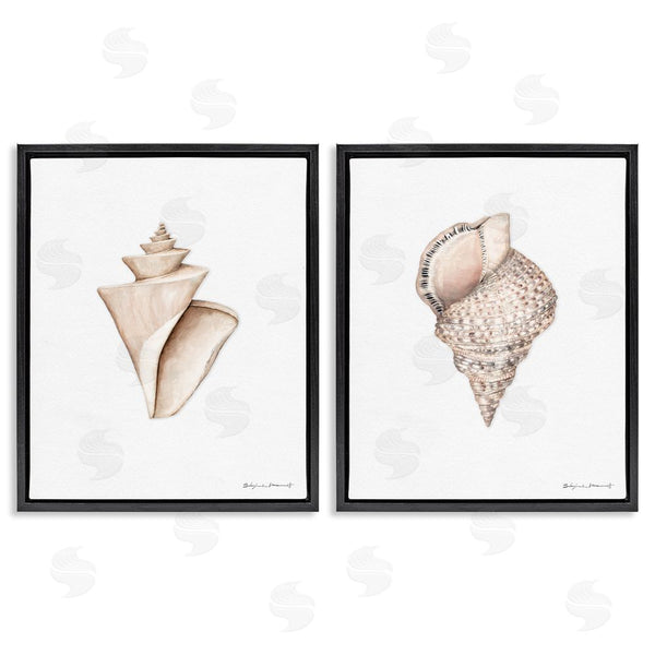 Stupell Industries Stephanie Workman Marrott | Tranquil Spiral Sea Shells Soft Marine Life Wall Art
