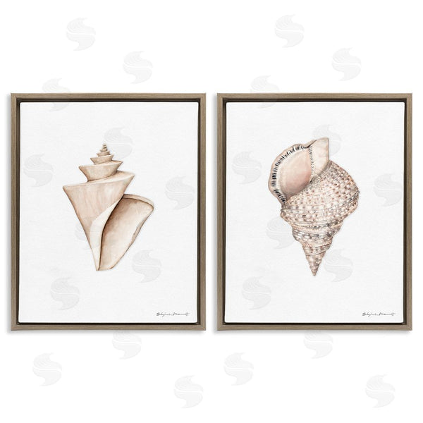 Stupell Industries Stephanie Workman Marrott | Tranquil Spiral Sea Shells Soft Marine Life Wall Art
