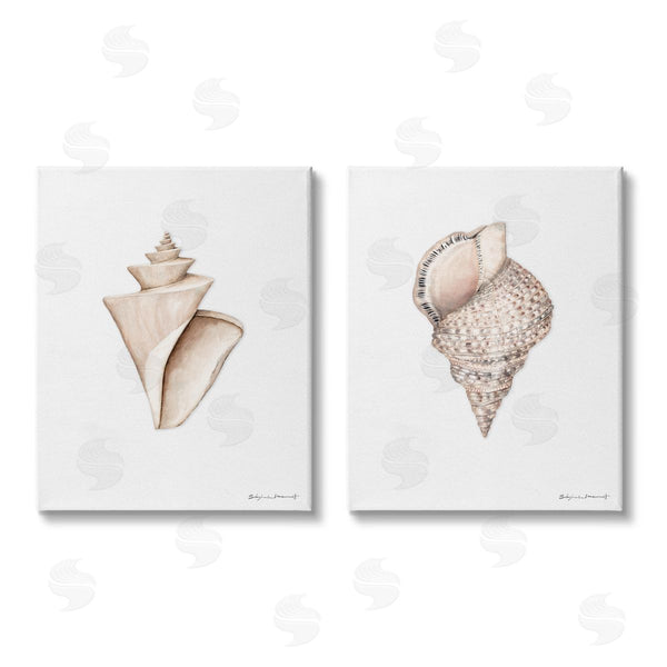 stupell industries Stephanie Workman Marrott | Tranquil Spiral Sea Shells Soft Marine Life Wall Art
