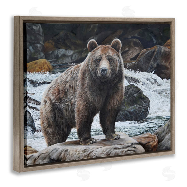 Stupell Industries Steve Burgess | Grizzly Bear By Waterfall Wall Art