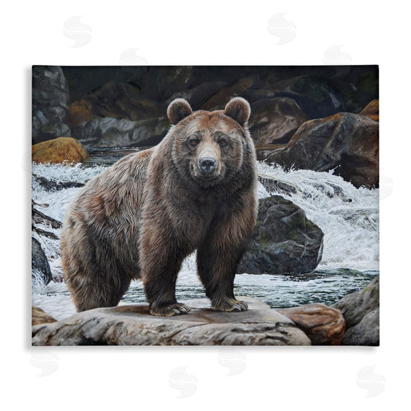 stupell industries Steve Burgess | Grizzly Bear by Waterfall Wall Art