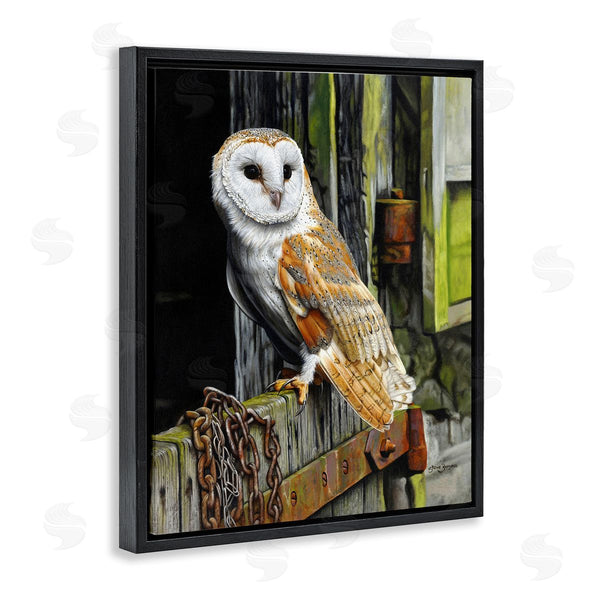 Stupell Industries Steve Burgess | Owl Perched On Barn Door Wall Art