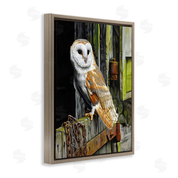 Stupell Industries Steve Burgess | Owl Perched On Barn Door Wall Art