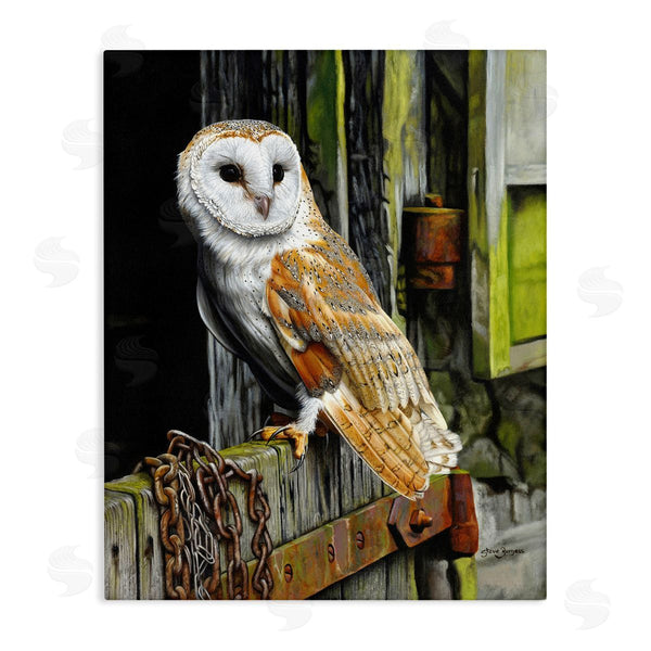 stupell industries Steve Burgess | Owl Perched on Barn Door Wall Art