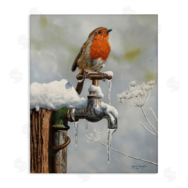 stupell industries Steve Burgess | Robin Bird & Winter Scene Wall Art