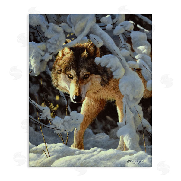 stupell industries Steve Burgess | Wolf Among Snowy Branches Wall Art