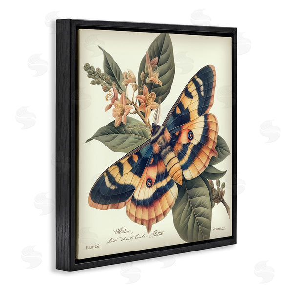Stupell Industries Steve Hunziker | Detailed Moth & Lilies Wall Art