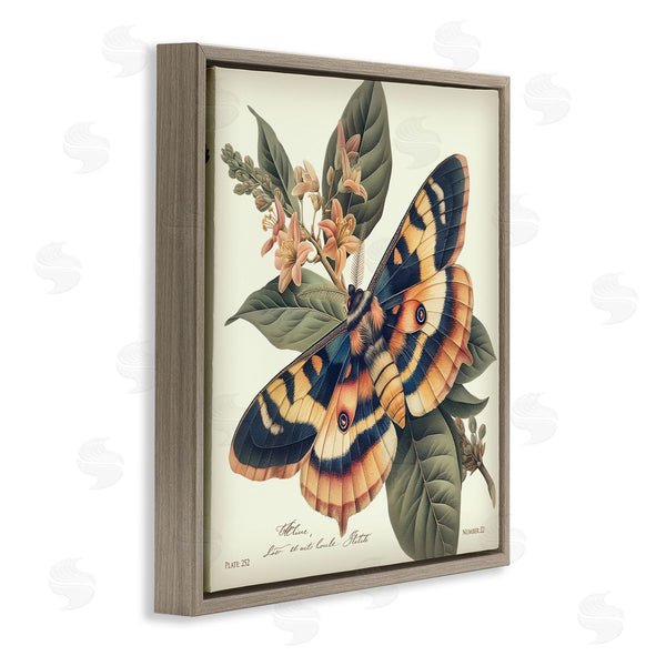 Stupell Industries Steve Hunziker | Detailed Moth & Lilies Wall Art