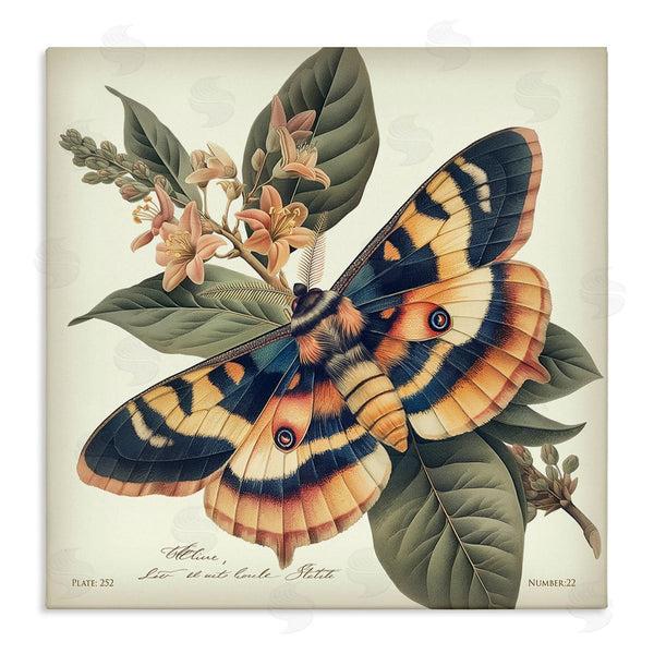 stupell industries Steve Hunziker | Detailed Moth & Lilies Wall Art