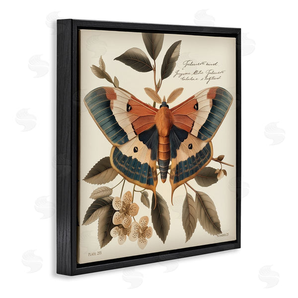 Stupell Industries Steve Hunziker | Enchanting Moth & Plant Wall Art