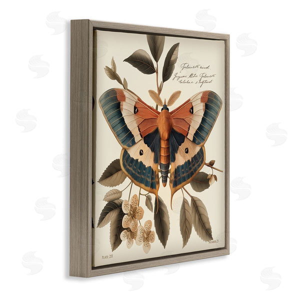 Stupell Industries Steve Hunziker | Enchanting Moth & Plant Wall Art