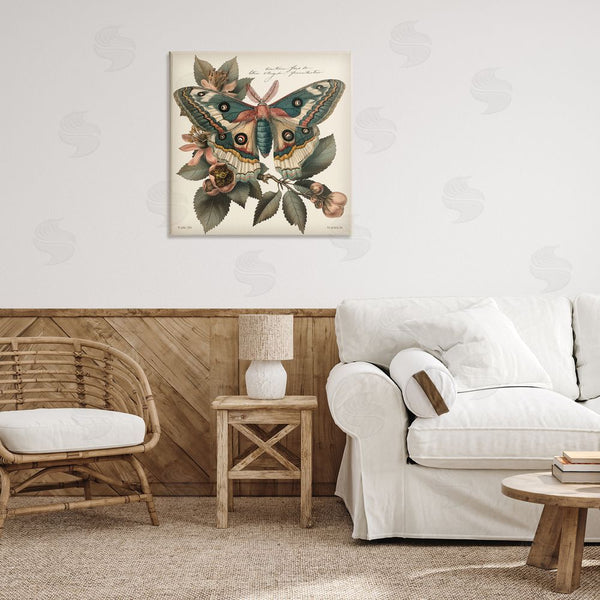 Stupell Industries Steve Hunziker | Green Patterned Moth Wall Art