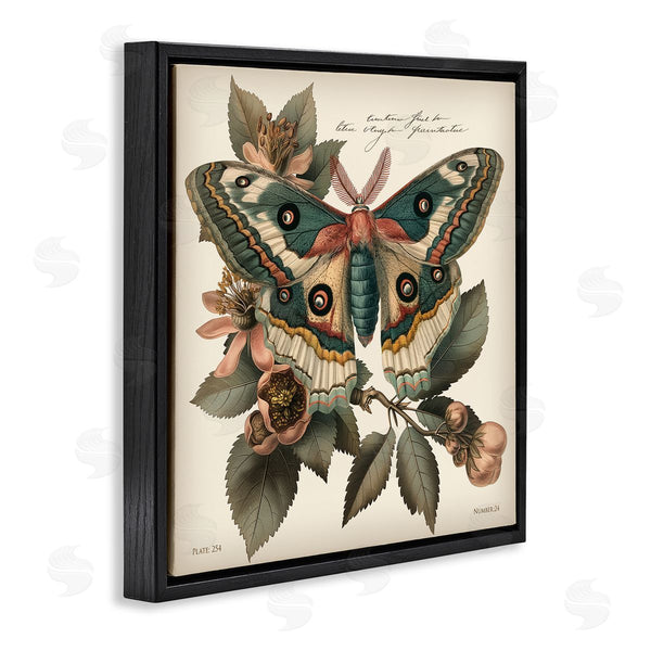 Stupell Industries Steve Hunziker | Green Patterned Moth Wall Art