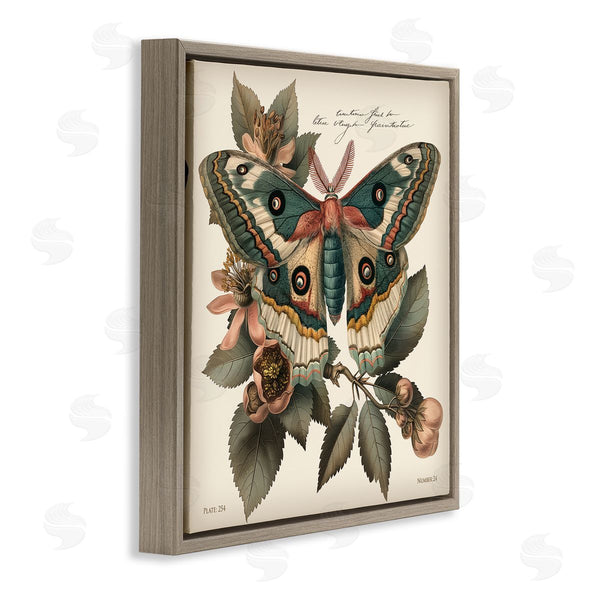 Stupell Industries Steve Hunziker | Green Patterned Moth Wall Art