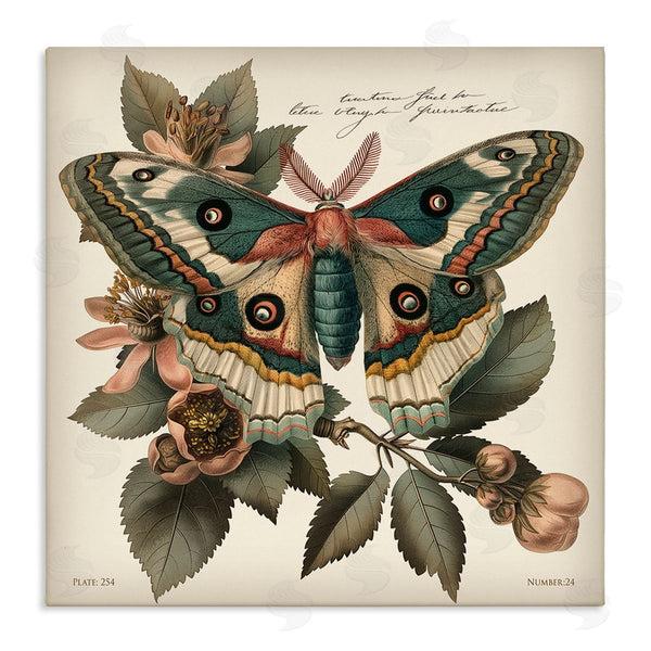 stupell industries Steve Hunziker | Green Patterned Moth Wall Art