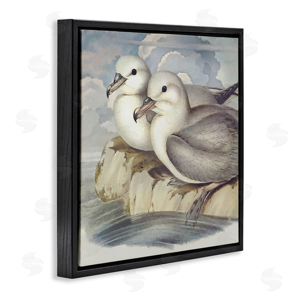 Stupell Industries Steve Hunziker | Seagull Couple Perched Coastal Water Resting Birds Wall Art
