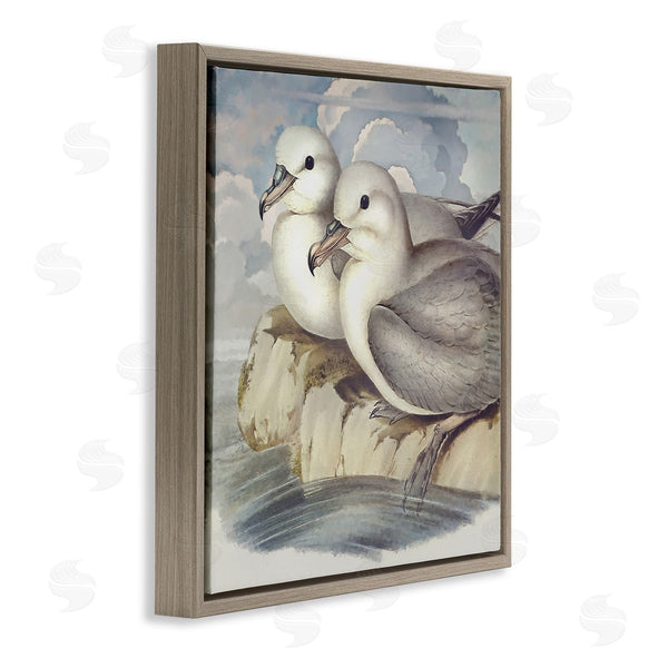 Stupell Industries Steve Hunziker | Seagull Couple Perched Coastal Water Resting Birds Wall Art