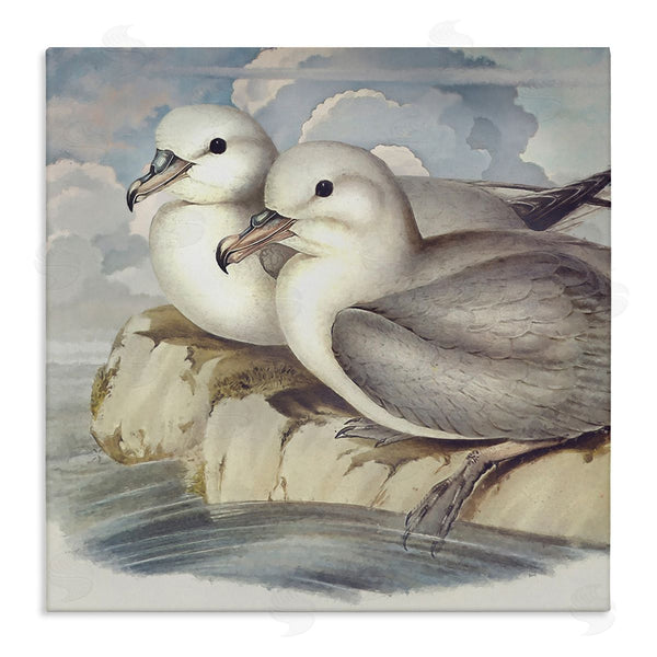stupell industries Steve Hunziker | Seagull Couple Perched Coastal Water Resting Birds Wall Art