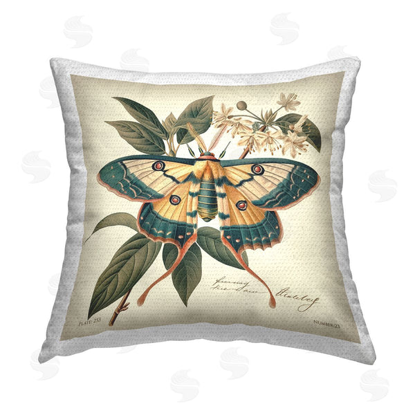 Stupell Industries Steve Hunziker | Vintage Moth & Plant Study Printed Throw Pillow