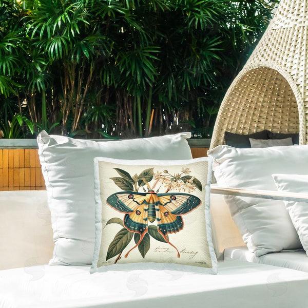 Stupell Industries Steve Hunziker | Vintage Moth & Plant Study Printed Throw Pillow