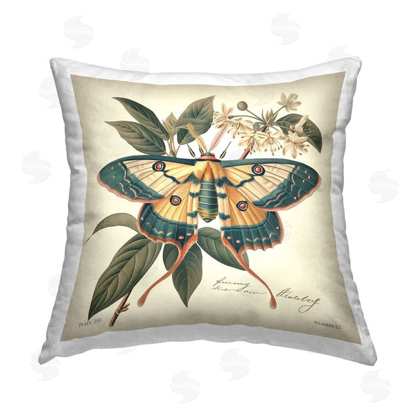 stupell industries Steve Hunziker | Vintage Moth & Plant Study Printed Throw Pillow