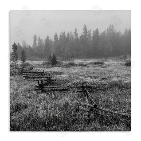 stupell industries Steve Smith | Dark Countryside Fence Photography Wall Art