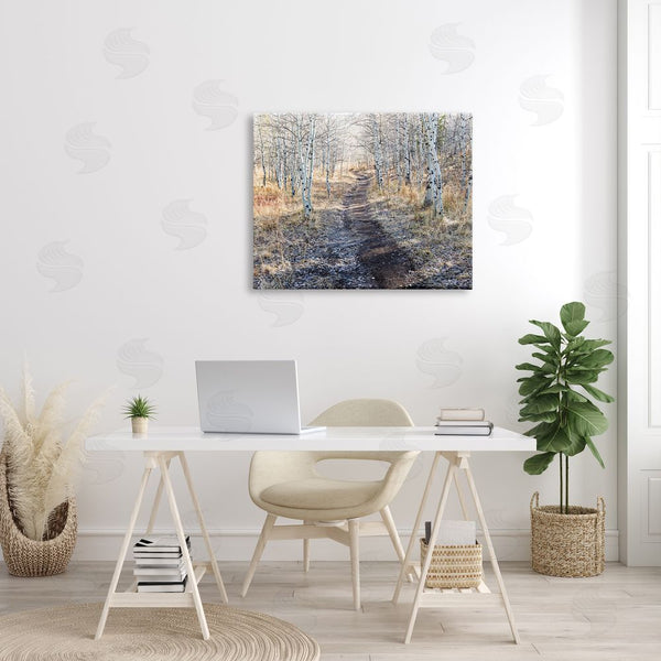 Stupell Industries Steve Smith | Dirt Path Between Birch Tree Forest Woodland Scene Wall Art