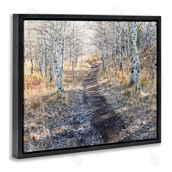 Stupell Industries Steve Smith | Dirt Path Between Birch Tree Forest Woodland Scene Wall Art