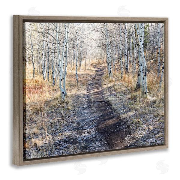 Stupell Industries Steve Smith | Dirt Path Between Birch Tree Forest Woodland Scene Wall Art