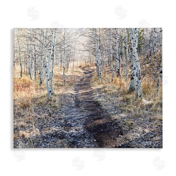 stupell industries Steve Smith | Dirt Path Between Birch Tree Forest Woodland Scene Wall Art