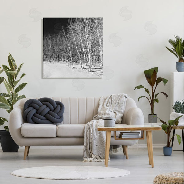 Stupell Industries Steve Smith | Mysterious Snowy Forest Looming Nighttime Birch Trees Wall Art