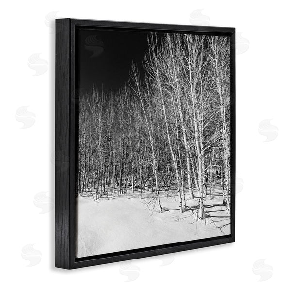 Stupell Industries Steve Smith | Mysterious Snowy Forest Looming Nighttime Birch Trees Wall Art