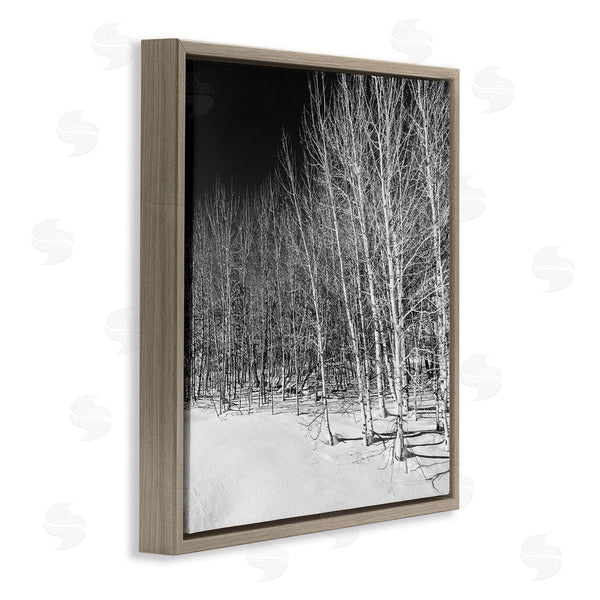 Stupell Industries Steve Smith | Mysterious Snowy Forest Looming Nighttime Birch Trees Wall Art