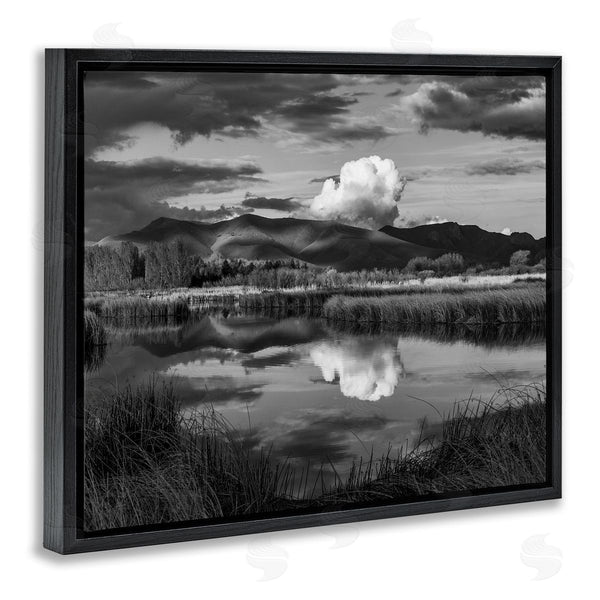 Stupell Industries Steve Smith | Puffy Cloud Over Mountain Grassy Marsh Landscape Wall Art