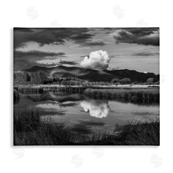 stupell industries Steve Smith | Puffy Cloud Over Mountain Grassy Marsh Landscape Wall Art